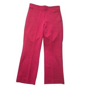 Ann Taylor Fuchsia Wide Leg Pants